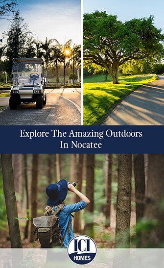 Explore The Amazing Outdoors In Nocatee